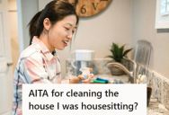 Woman Cleaned A Family Friend’s House While Housesitting As A “Nice Gesture,” But The Friend Called It Disrespectful