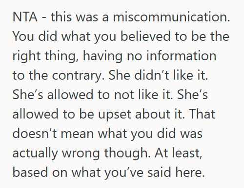 Cleaning Woman Cleaned A Family Friend’s House While Housesitting As A “Nice Gesture,” But The Friend Called It Disrespectful