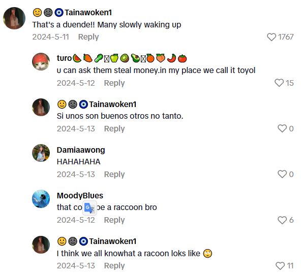 Comment 1 59 TikToker Spots Tiny Humanoid Creature Hiding In A Tree While Live, And Commenters Think It Is A Mythical Duende