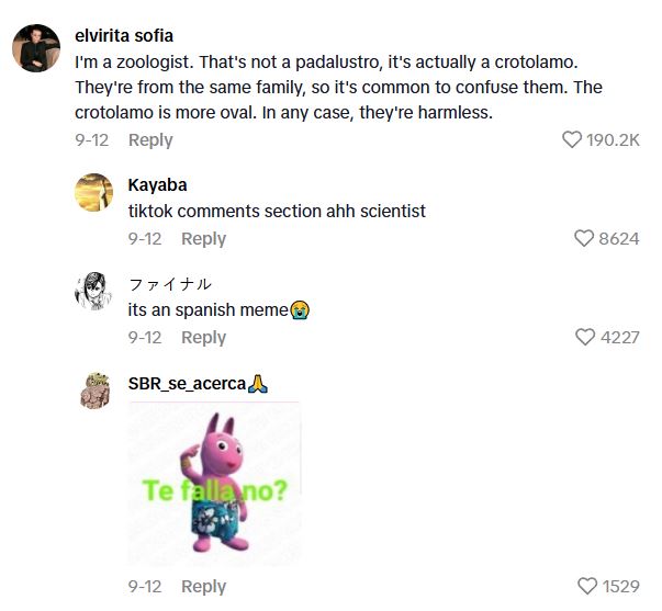 Comment 1 96 TikToker Found An Ecosystem In A Jar He Made Years Ago And He Has No Idea What Is Growing Inside