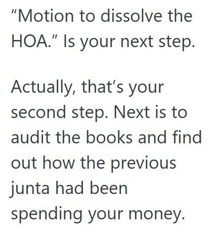 Comment 2 106 Neighborhood Resident Got Tired Of The HOA Board Issuing Fines And Wasting Money, So They Got The Board Kicked Out, Became The President, And Fixed All The Problems In The Neighborhood