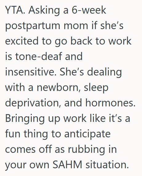 Comment 2 113 Her Sister In Law Criticized Her Choice To Be A Stay At Home Mom, So She Asked Her If She Was Excited To Return To Work After Maternity Leave