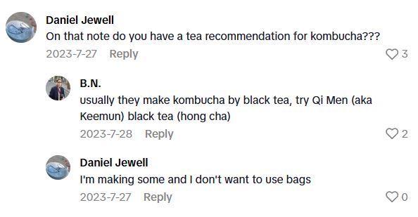 Comment 3 63 Tea Expert Talks About Why Popular Tea Bags Have Such Low Quality Tea Dust And Recommends Using Full Dried Tea Leaves Instead