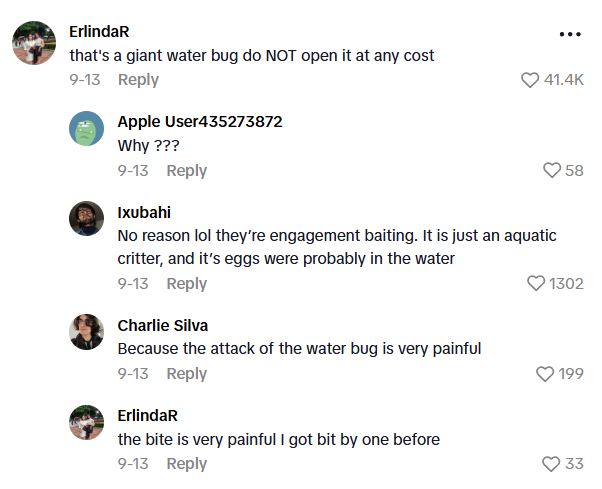 Comment 3 95 TikToker Found An Ecosystem In A Jar He Made Years Ago And He Has No Idea What Is Growing Inside