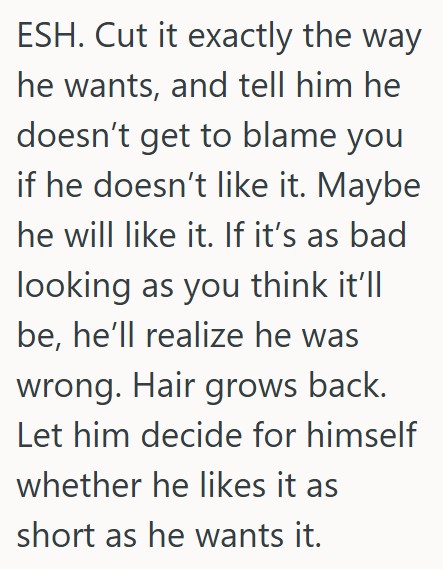 Comment 4 54 Her Husband Asked Her To Cut His Hair And Help Him With Styling It, But He Didnt Like It And Refused To Style It