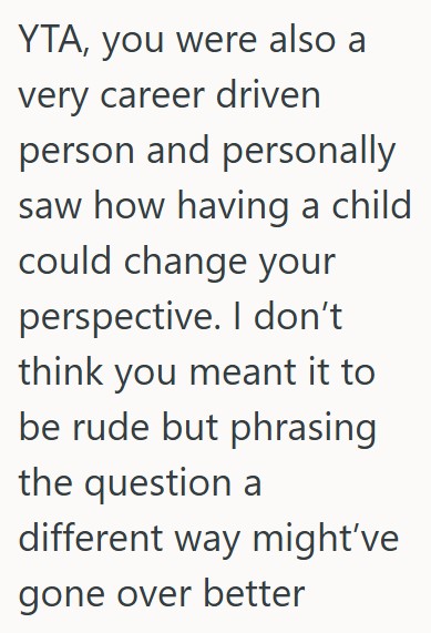 Comment 5 68 Her Sister In Law Criticized Her Choice To Be A Stay At Home Mom, So She Asked Her If She Was Excited To Return To Work After Maternity Leave
