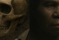 A Growing Number Of Ancient Human Ancestor Remains Are Being Reclassified As Denisovans As Researchers Create Guidelines Around The Classification