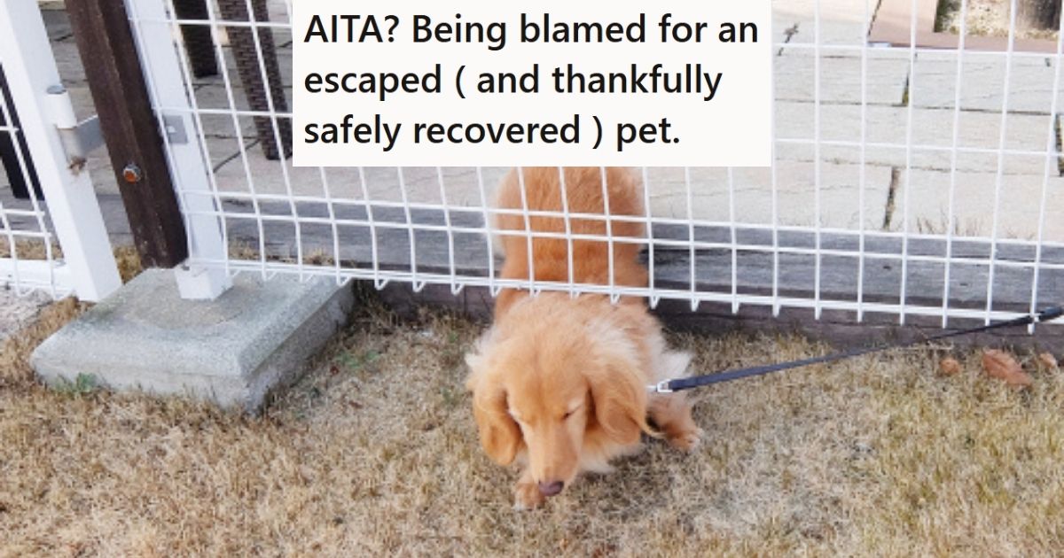 Dog escaping under fence. 