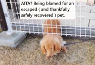 His Friend Is Irate That He Accidently Let The Dog Out Of The House, And Even After Recovering The Dog And Getting An Apology, He Won’t Let It Go