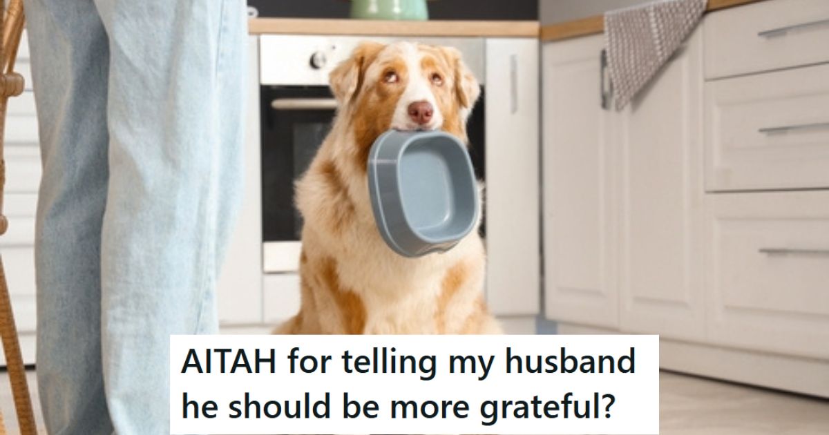 Dog holding food bowl.