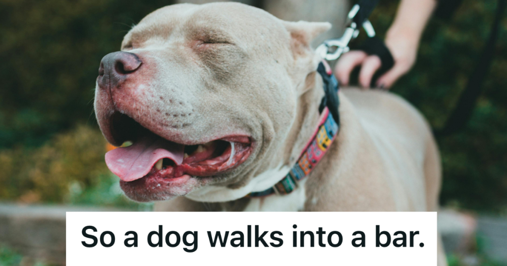 Happy Looking Pitbull