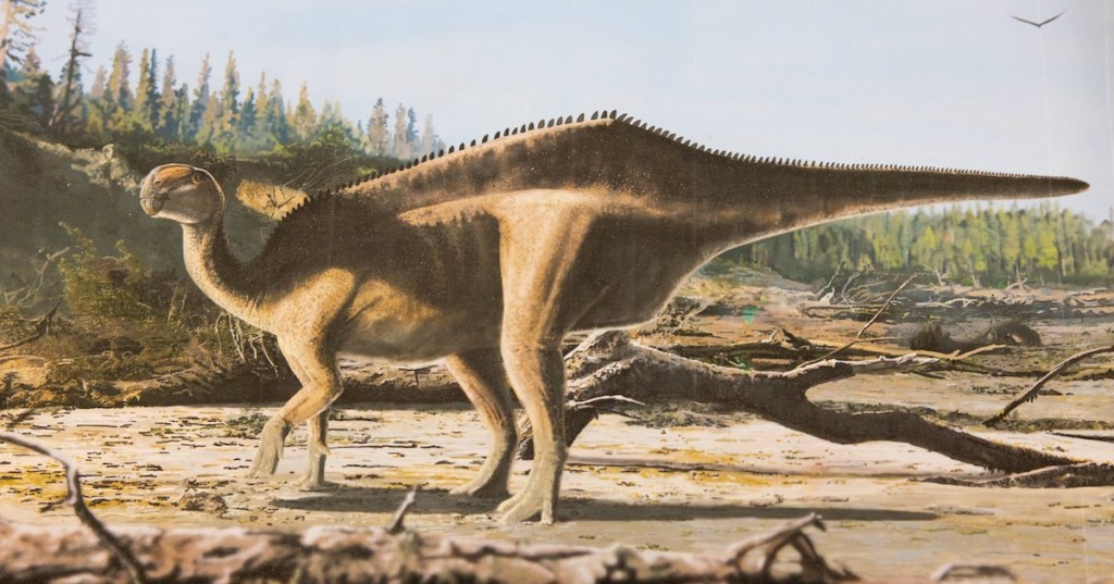 An artist's impression of the istiorachis