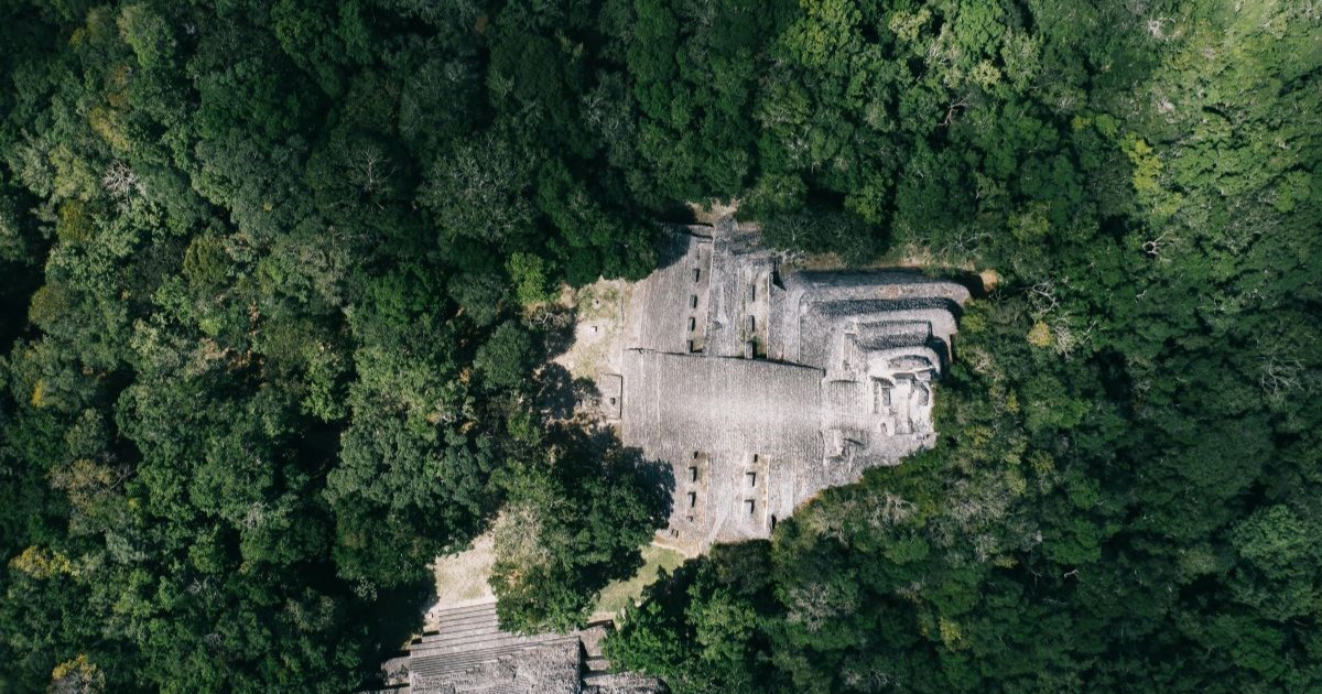 An ancient Maya temple in the rainforest