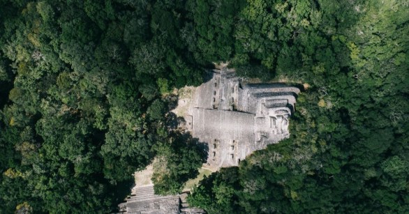 An ancient Maya temple in the rainforest