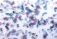 Microbes That Have Been “Sleeping” For 100+ Million Years Under The Seafloor Wake Up And Start Eating And Reproducing Once Brought To The Surface