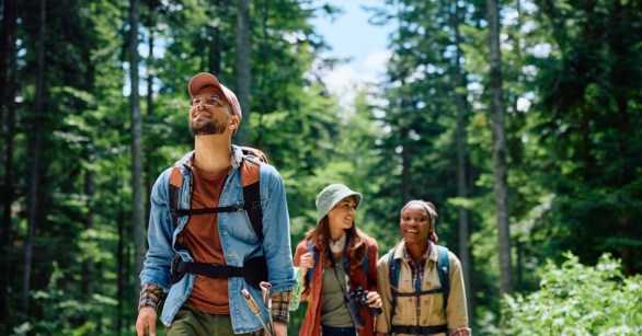 Group walking through nature