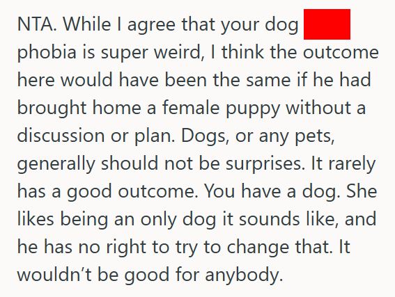 New Puppy 1 Boyfriend Bought His Girlfriend A Male Puppy As A “Birthday Present,” But When She Refused To Keep It, He Got Mad At Her