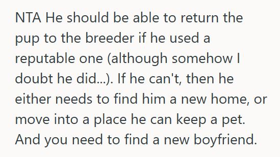 New Puppy 2 Boyfriend Bought His Girlfriend A Male Puppy As A “Birthday Present,” But When She Refused To Keep It, He Got Mad At Her