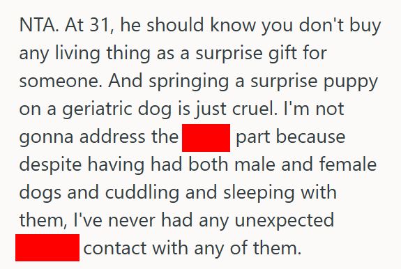 New Puppy 3 Boyfriend Bought His Girlfriend A Male Puppy As A “Birthday Present,” But When She Refused To Keep It, He Got Mad At Her