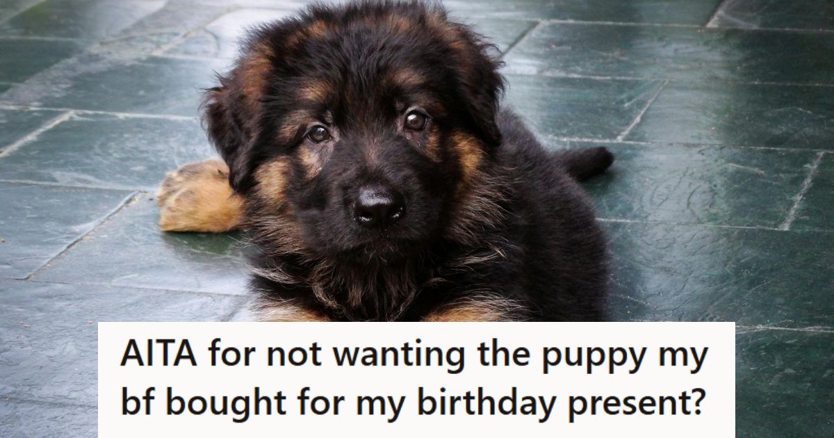 Male German Shepherd puppy laying on the tile floor