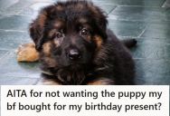 Boyfriend Bought His Girlfriend A Male Puppy As A “Birthday Present,” But When She Refused To Keep It, He Got Mad At Her