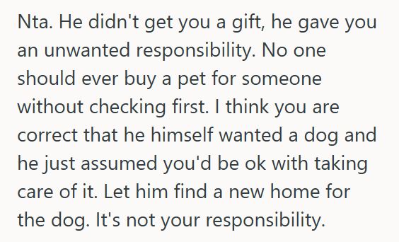 New Puppy Boyfriend Bought His Girlfriend A Male Puppy As A “Birthday Present,” But When She Refused To Keep It, He Got Mad At Her