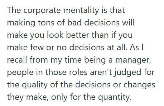 Panini 3 Café Had One Size Fits All Pastry Bags They Used For Every Item They Sold, But Then Corporate Decided They Needed Different Bags For Paninis
