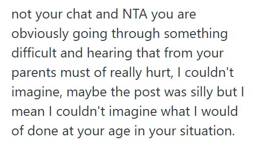 Parents Teen Posted A Free To Good Home Ad For Herself After Overhearing Her Parents Argue About Who Had To Take Custody, But When Family Members Found Out, Her Parents Grounded Her