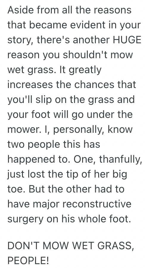 Screen Shot 2025 09 18 at 11.36.51 AM Teen Boy Was Mowing His Neighbors Lawn For Free, But When She Demanded He Do It Immediately, He Decided To Teach Her Some Gratitude