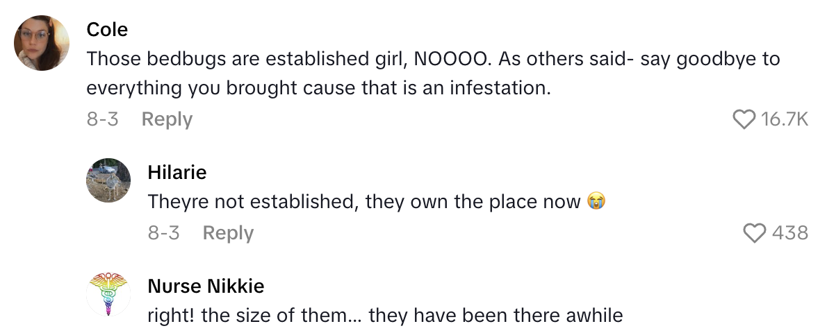 Screenshot 2025 09 01 at 11.18.54 AM An American Travelers Hotel Room In Paris Was Infested With Bedbugs