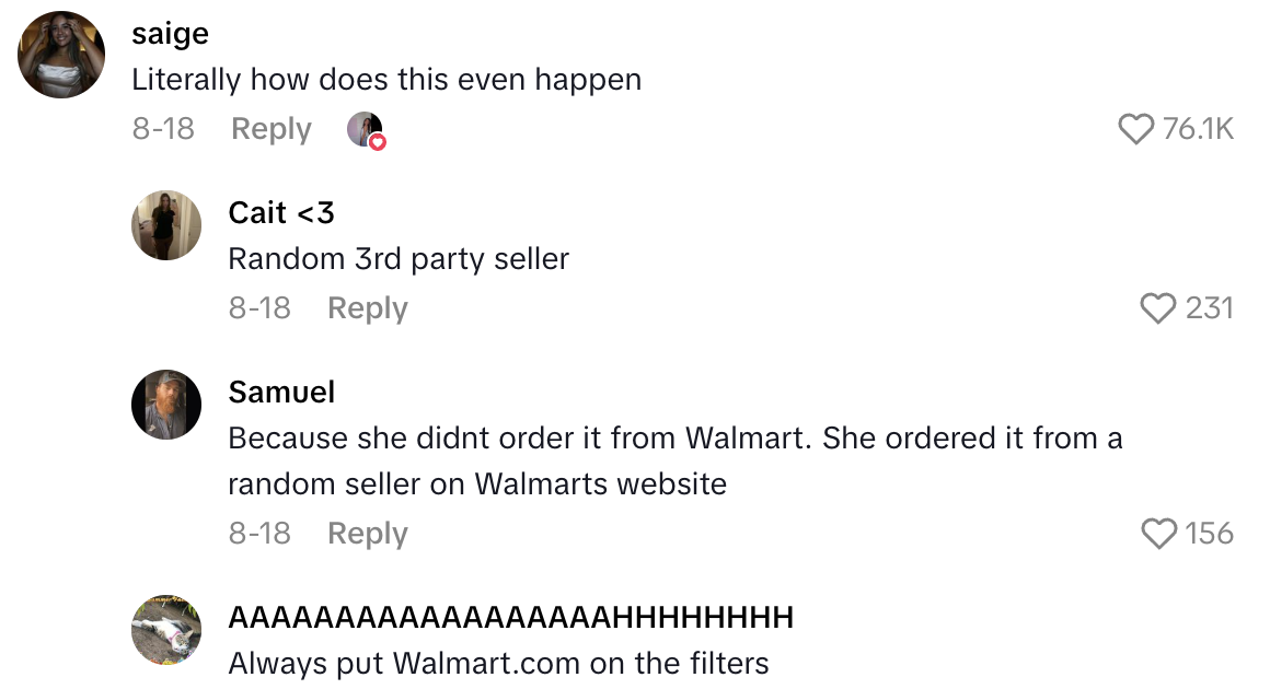 Screenshot 2025 09 01 at 12.25.44 PM A Shopper Ordered A Bowl From Walmart Marketplace, But Got Something Completely Different Shipped To Her