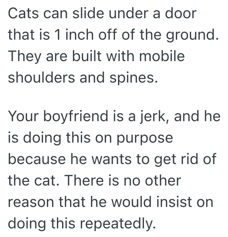 Screenshot 2025 09 03 at 3.31.31 PM e1756928006452 Her Boyfriend Leaves Their Sliding Door Cracked, And Tensions Rise When Their Cat Escapes
