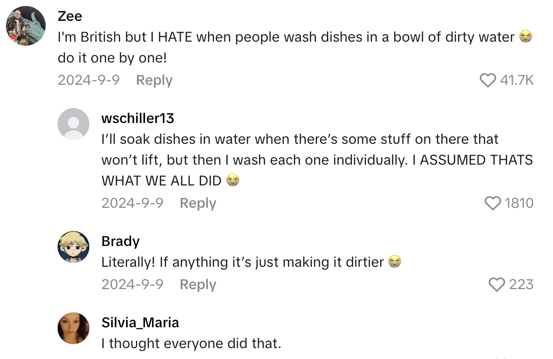 Screenshot 2025 09 06 at 8.35.31 AM A TikTokker Wants To Know How British People Wash Dishes.   I just went down a very strange rabbit hole.