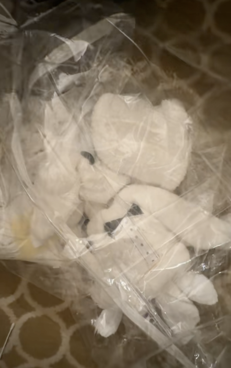 towels wrapped up as animals