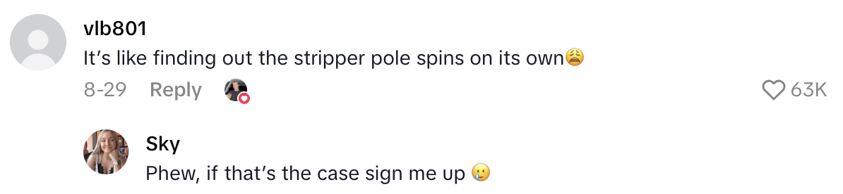 Screenshot 2025 09 07 at 3.05.54 PM A Traveler Found Pre Made Towel Animals Under His Bed On A Cruise