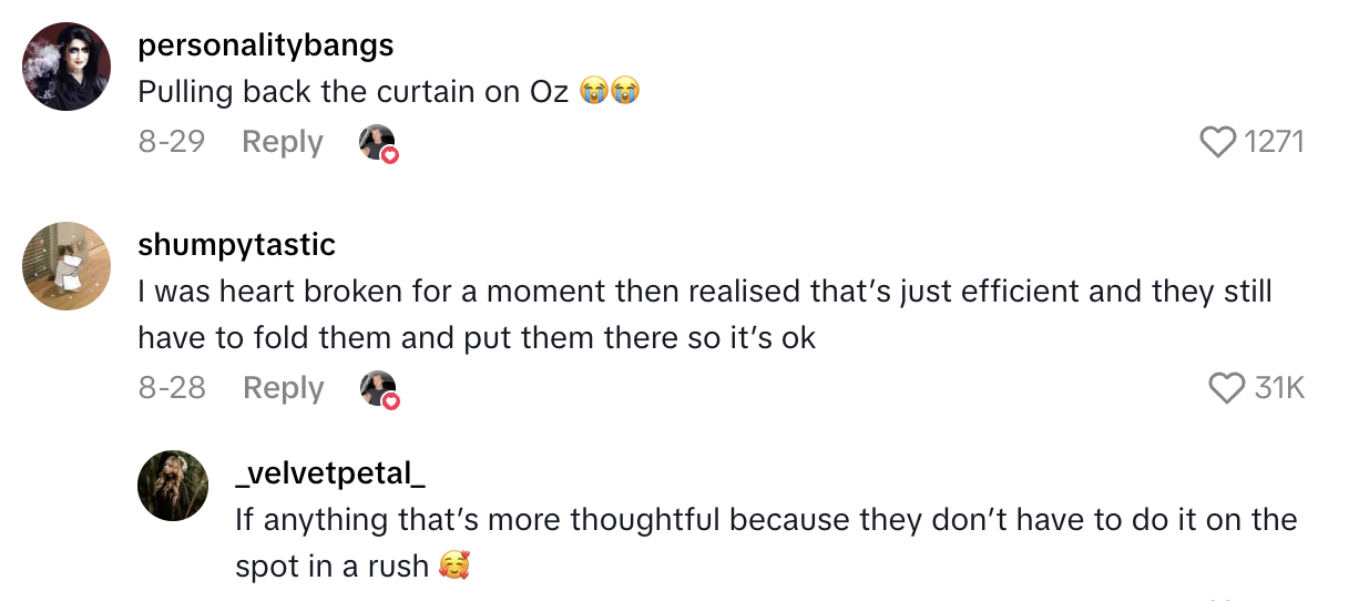 Screenshot 2025 09 07 at 3.06.05 PM A Traveler Found Pre Made Towel Animals Under His Bed On A Cruise