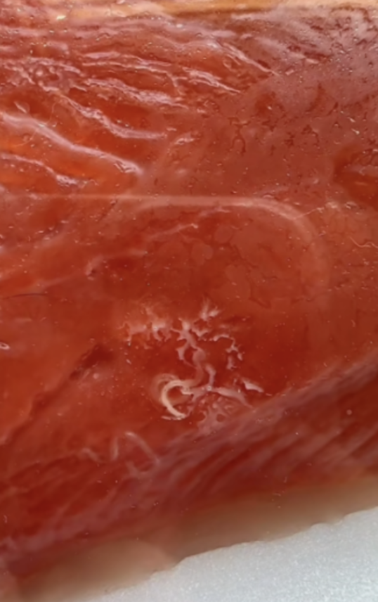 large piece of salmon