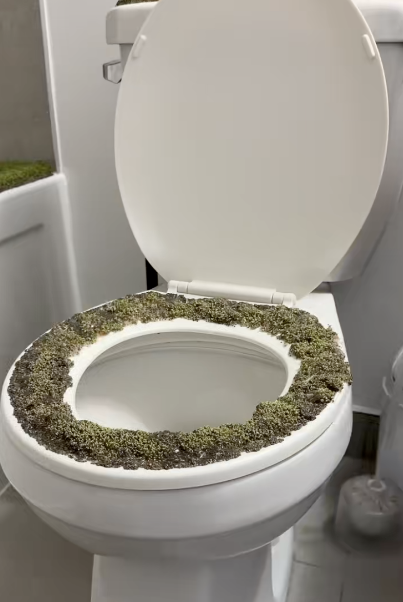 toilet with chia seeds