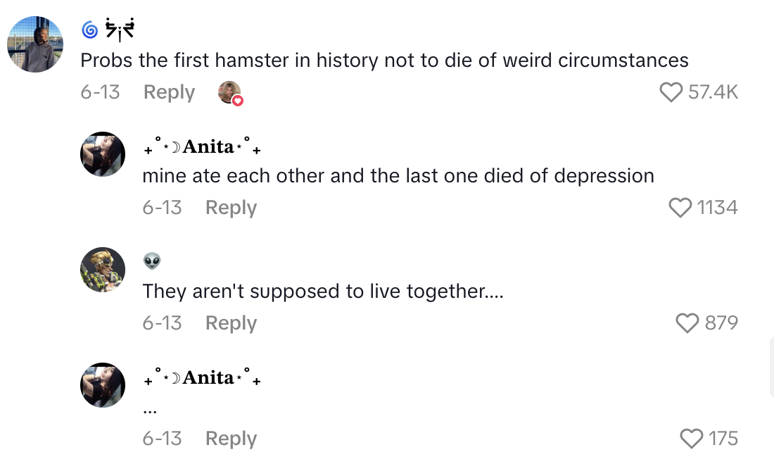 Screenshot 2025 09 08 at 12.24.34 AM Old Hamster Owner Asks How Are You Still Alive, My Bro? As The Animal Looks Cute In Its Swanky Cage