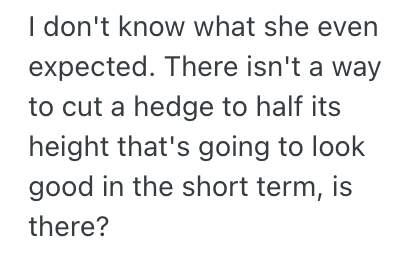 Screenshot 2025 09 08 at 7.02.04 PM Neighbor Tried To Get Petty About A Hedge, So This Couple Complied In A Way That Ruined The Propertys Curb Appeal