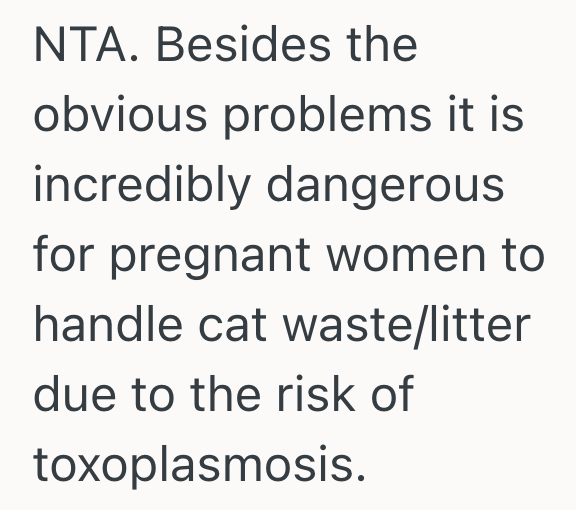 Screenshot 2025 09 09 at 10.14.06 AM His Cats Havent Been Using The Litter Box Consistently, So His Pregnant Girlfriend Wants To Rehome Them