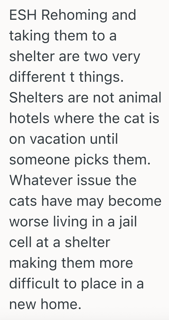 Screenshot 2025 09 09 at 10.15.14 AM His Cats Havent Been Using The Litter Box Consistently, So His Pregnant Girlfriend Wants To Rehome Them