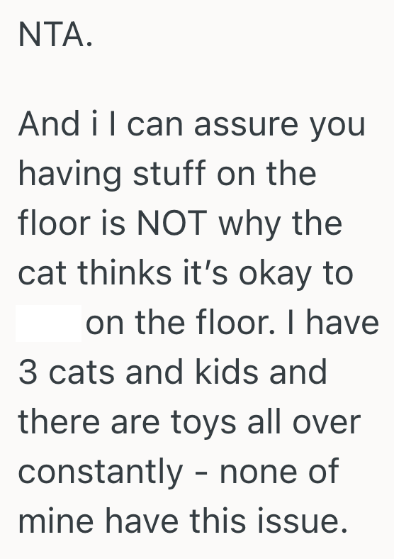 Screenshot 2025 09 09 at 10.15.53 AM His Cats Havent Been Using The Litter Box Consistently, So His Pregnant Girlfriend Wants To Rehome Them