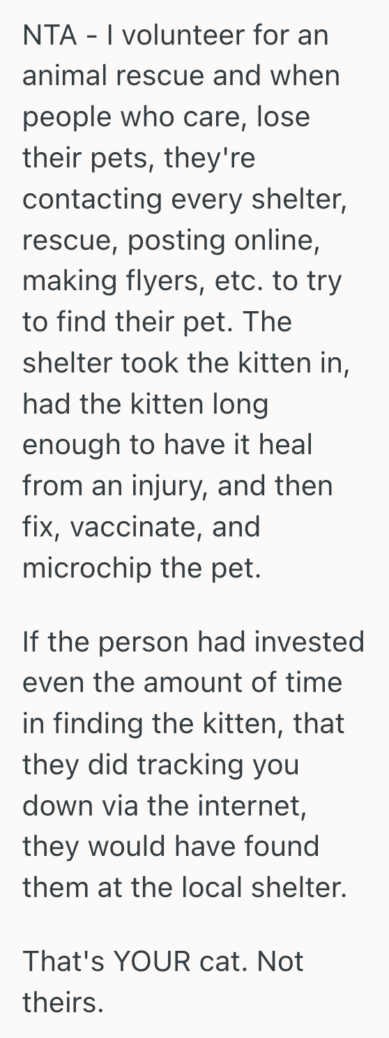 Screenshot 2025 09 10 at 12.41.44 PM She Adopted A New Kitten From A Shelter, But A Stranger Who Claimed To Be The Owner Tracked Her Down To Demand The Animal Back