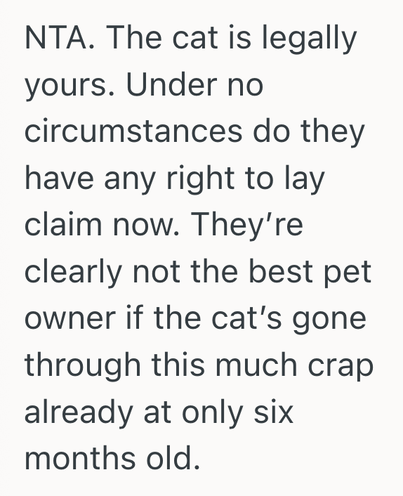 Screenshot 2025 09 10 at 12.42.21 PM She Adopted A New Kitten From A Shelter, But A Stranger Who Claimed To Be The Owner Tracked Her Down To Demand The Animal Back