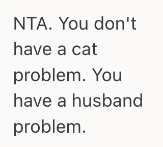 Screenshot 2025 09 10 at 2.07.58 PM Husband Invites Friend And His Cats To Live In Their One Bedroom Apartment, But His Wife Is Allergic To Cats