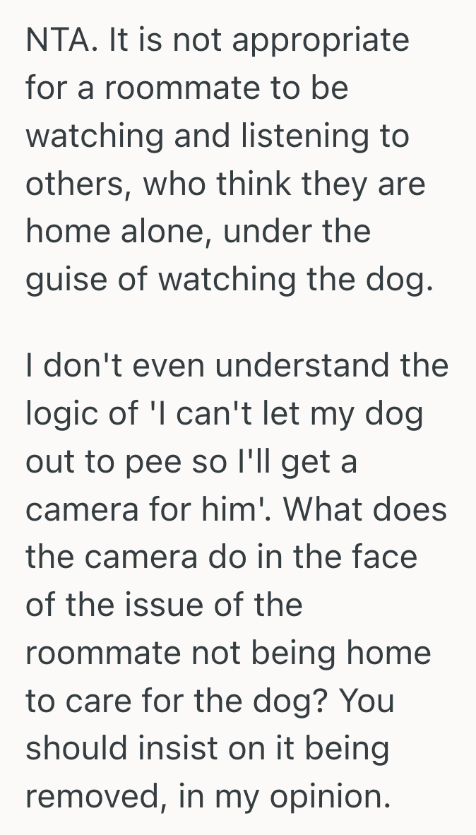 Screenshot 2025 09 11 at 2.08.16 PM His Roommate Installed A Camera To Watch The Dog, But He Had To Draw A Line When The Camera Turned Into A Tool For Spying On His Conversations
