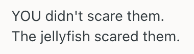 Screenshot 2025 09 11 at 6.03.36 PM Man Warned A Family About A Nearby Jellyfish In The Water, But They Blamed Him For Ruining Their Beach Day