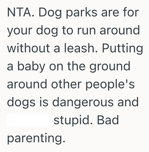 Screenshot 2025 09 11 at 7.25.29 PM Dog Owner Takes Dog To Off Leash Dog Park, But When A Mom Sets Her Baby On A Blanket, The Dog Wont Leave The Baby Alone