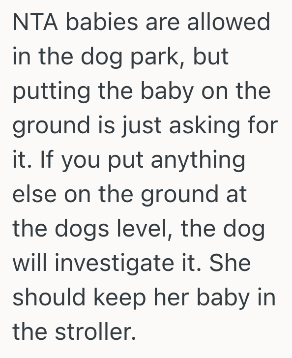 Screenshot 2025 09 11 at 7.27.03 PM Dog Owner Takes Dog To Off Leash Dog Park, But When A Mom Sets Her Baby On A Blanket, The Dog Wont Leave The Baby Alone